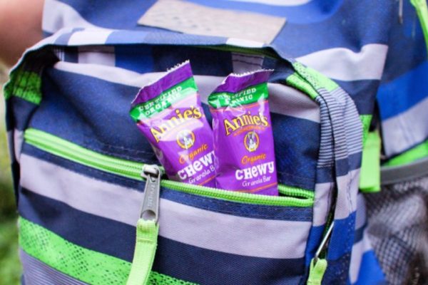 Annie’s Organic Granola Bars 10-Count Box Just $4.97 Shipped on Amazon (Reg. $9)