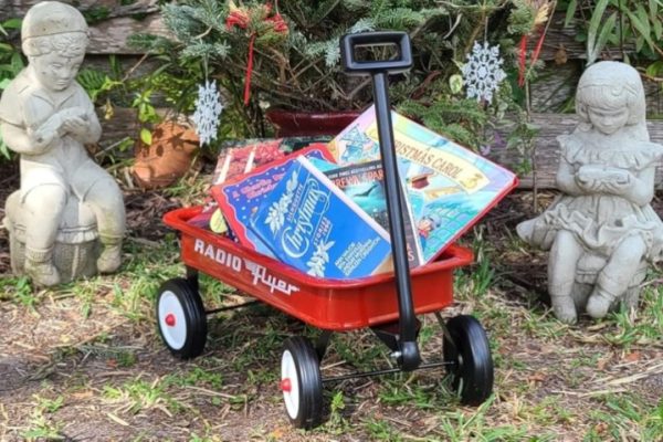 Radio Flyer Toy Wagon Only $9.99 Shipped on Woot.com